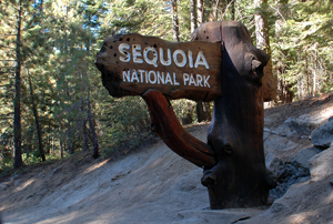 Sequoia and Kings Canyon National Park